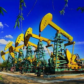 ��ҳ | 304am�����������޹�˾����