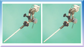 ��ҳ | 304am�����������޹�˾����