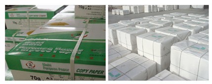 ��ҳ | 304am�����������޹�˾����