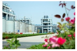 ��ҳ | 304am�����������޹�˾����